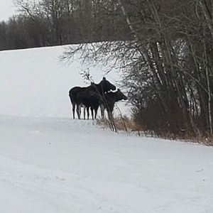 Meet your Posher, Margaret